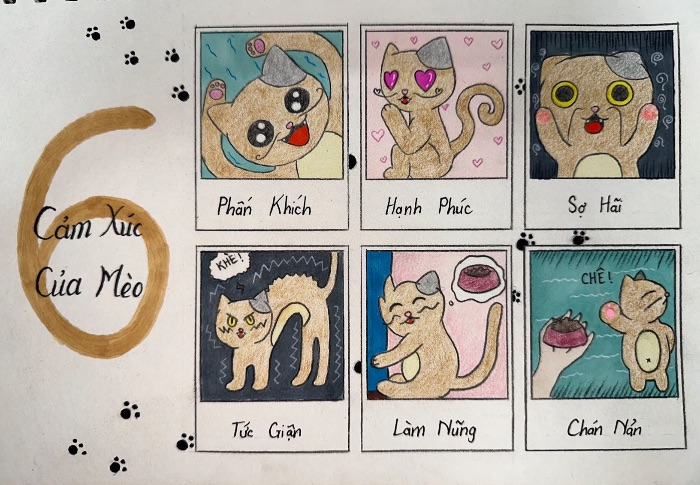 Dự án cuối kỳ - Hào