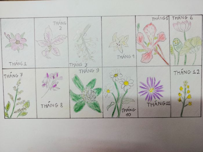 Hà Nội 12 mùa hoa