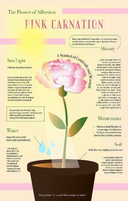 Bài cuối kỳ - Infographic