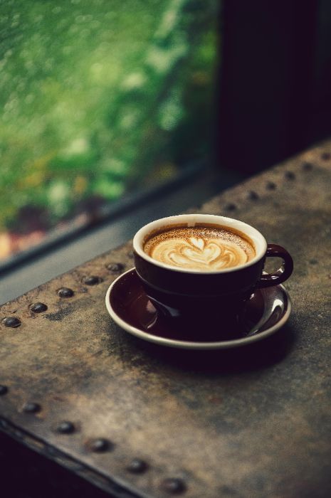 Một ngày cùng người Việt