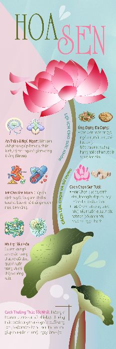 BÀI CUỐI KHÓA_PHẠM THANH THANH