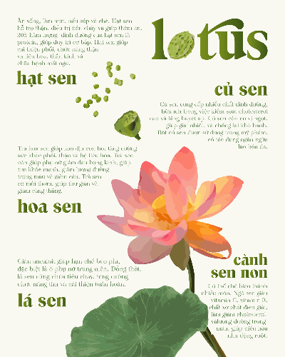 BT Cuối kỳ