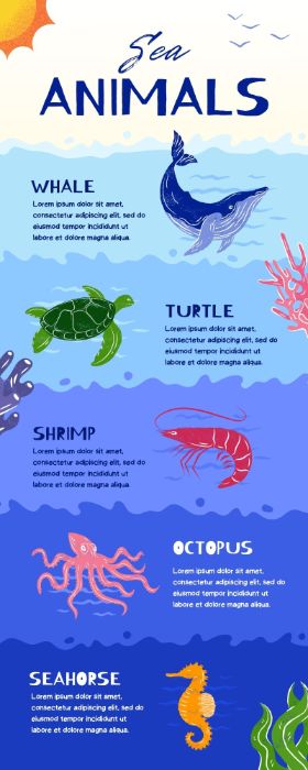 Sea Animal