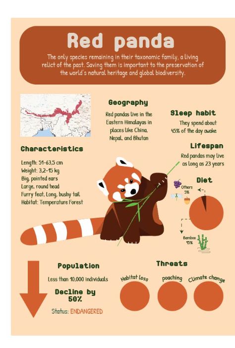 Red Panda