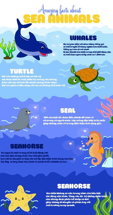 Sea Animal