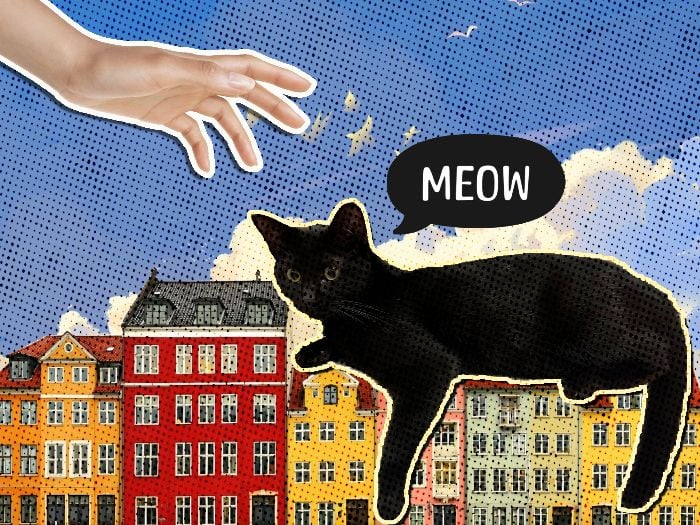 collage art