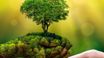Bài tập về nhà buổi 1