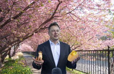 Elon Musk và  phần ngoại truyện của anh ấy (BTVN b1)