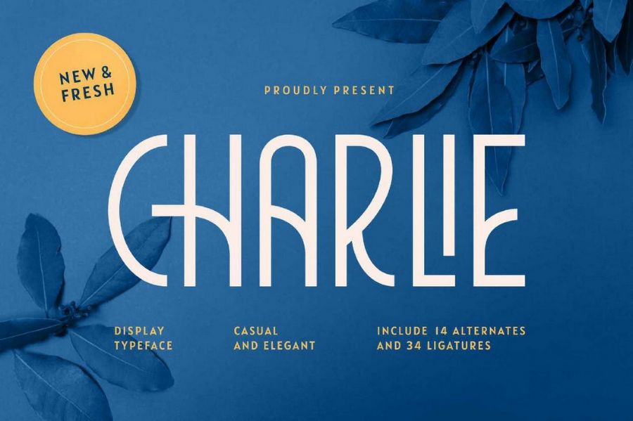Charlie Display Typeface