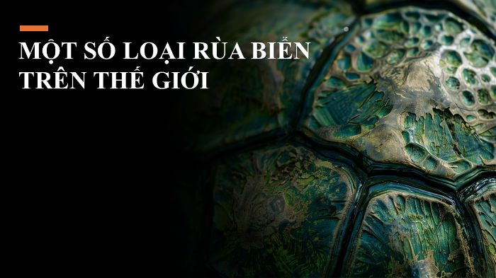 BTVN Buổi 8 - BTCK