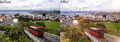 Wellington City