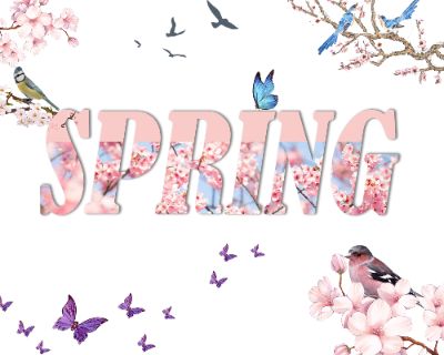 BTVN B2 - CLIPPING MASK