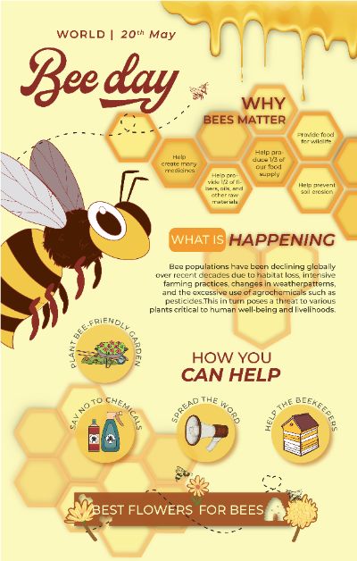 Inforgraphic - World Bee day