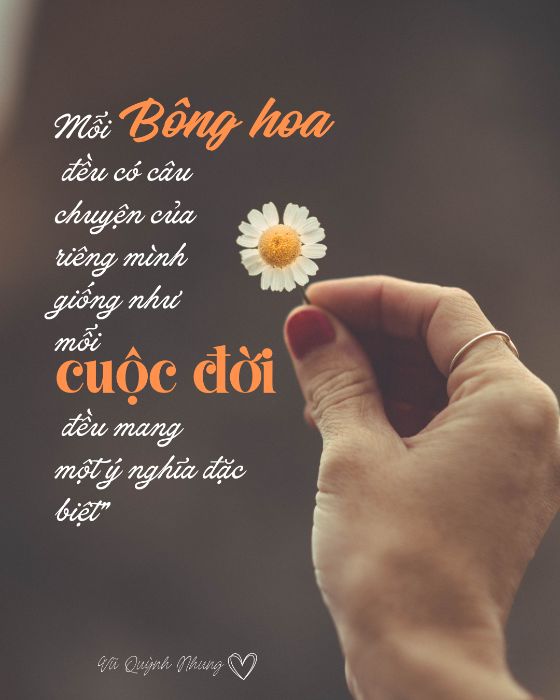 Bài tập buổi 2_ Vũ Quỳnh Nhung