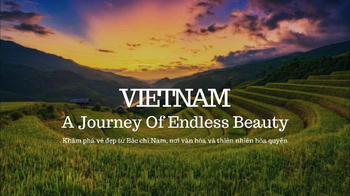 B4_Đỗ Nam Phương