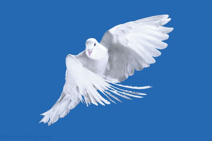 BTVN buổi 1 (bài 1)