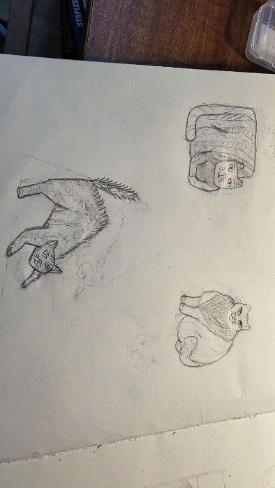 cat