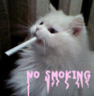 NO SMOKING PLSSSSS