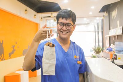 Bác sĩ và những chú chó