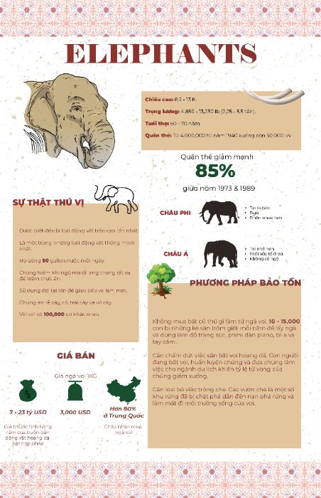 BTCK - INFOGRAPHIC
