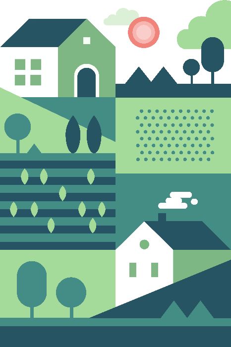 House Illustration
