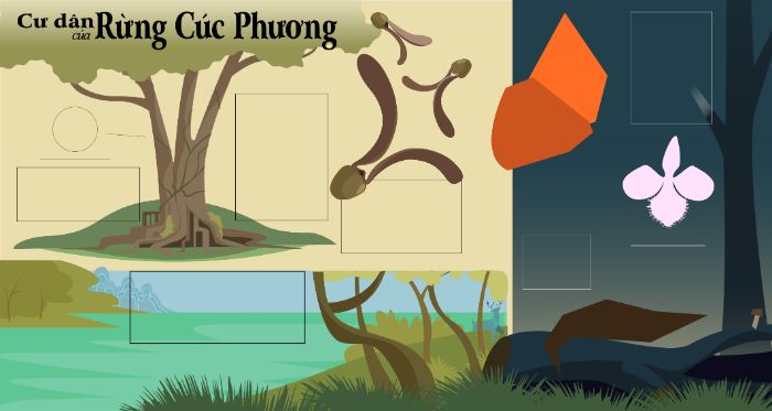 phác thảo cuối khóa