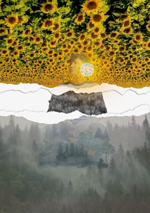 BTVN2_COLLAGE ART