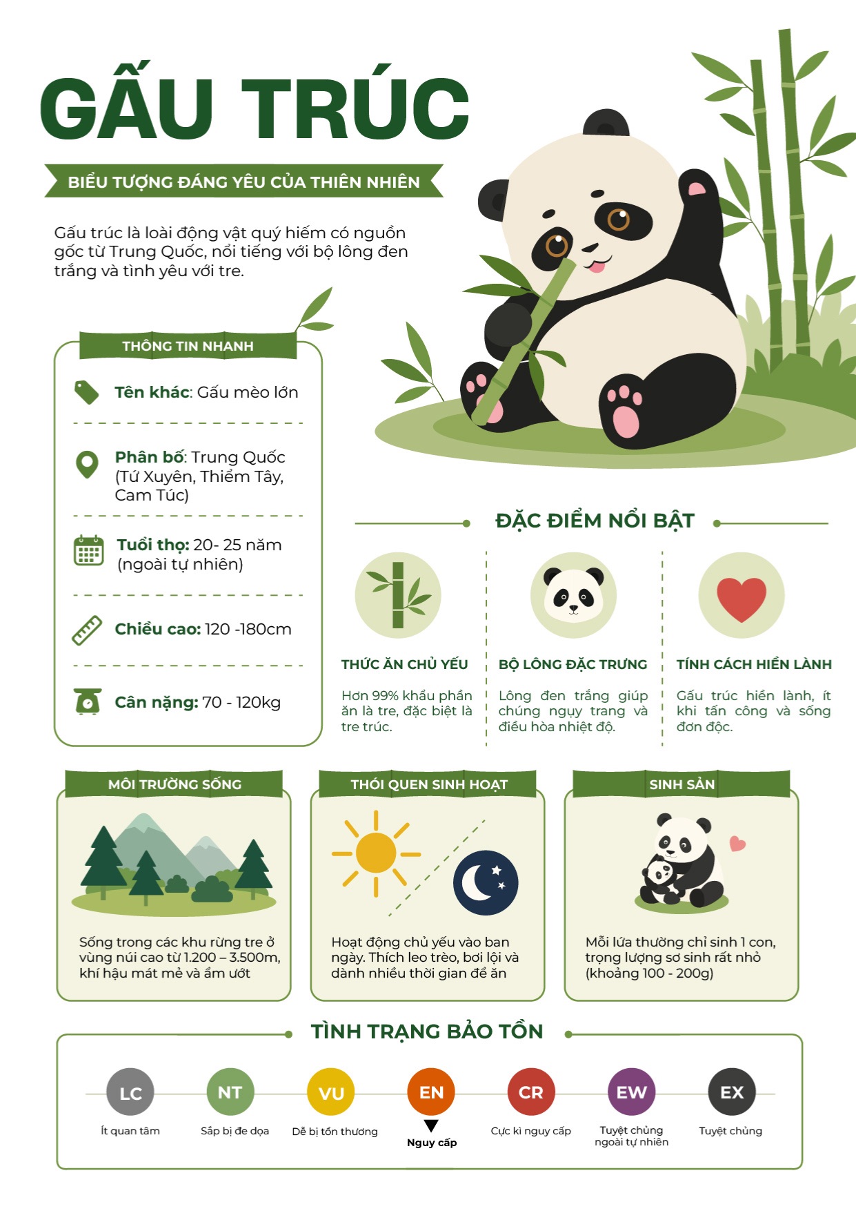 Poster infographics
