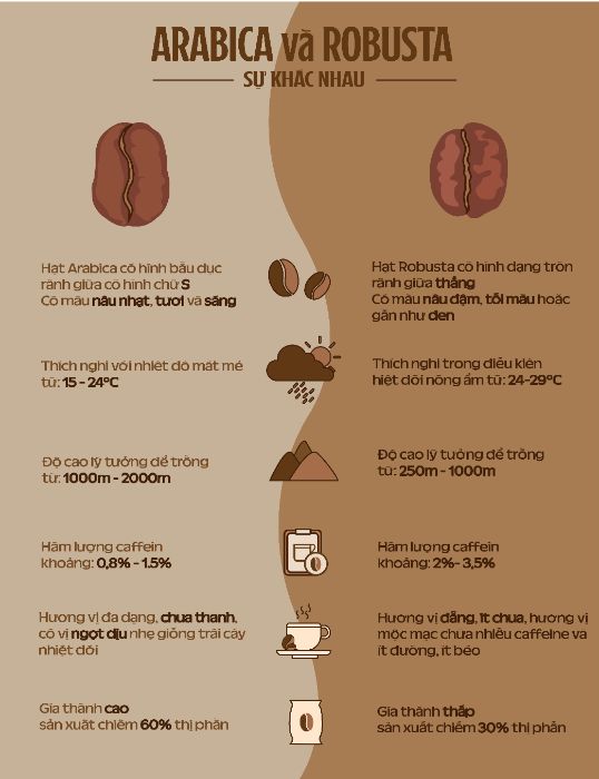 AI 134.11_NGUYEN HUY PHONG_INFOGRAPHIC