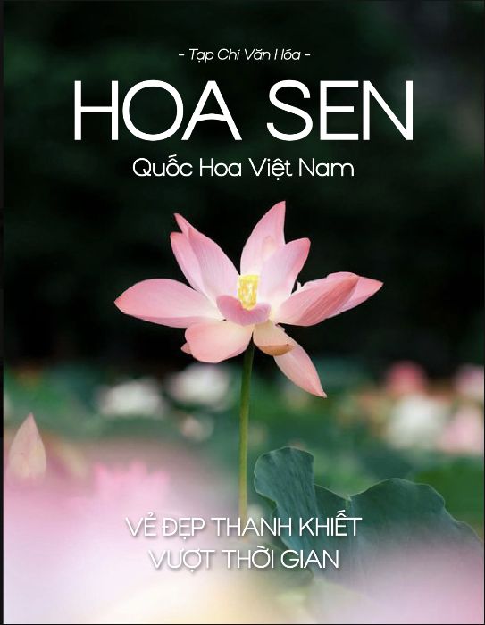 HOA SEN