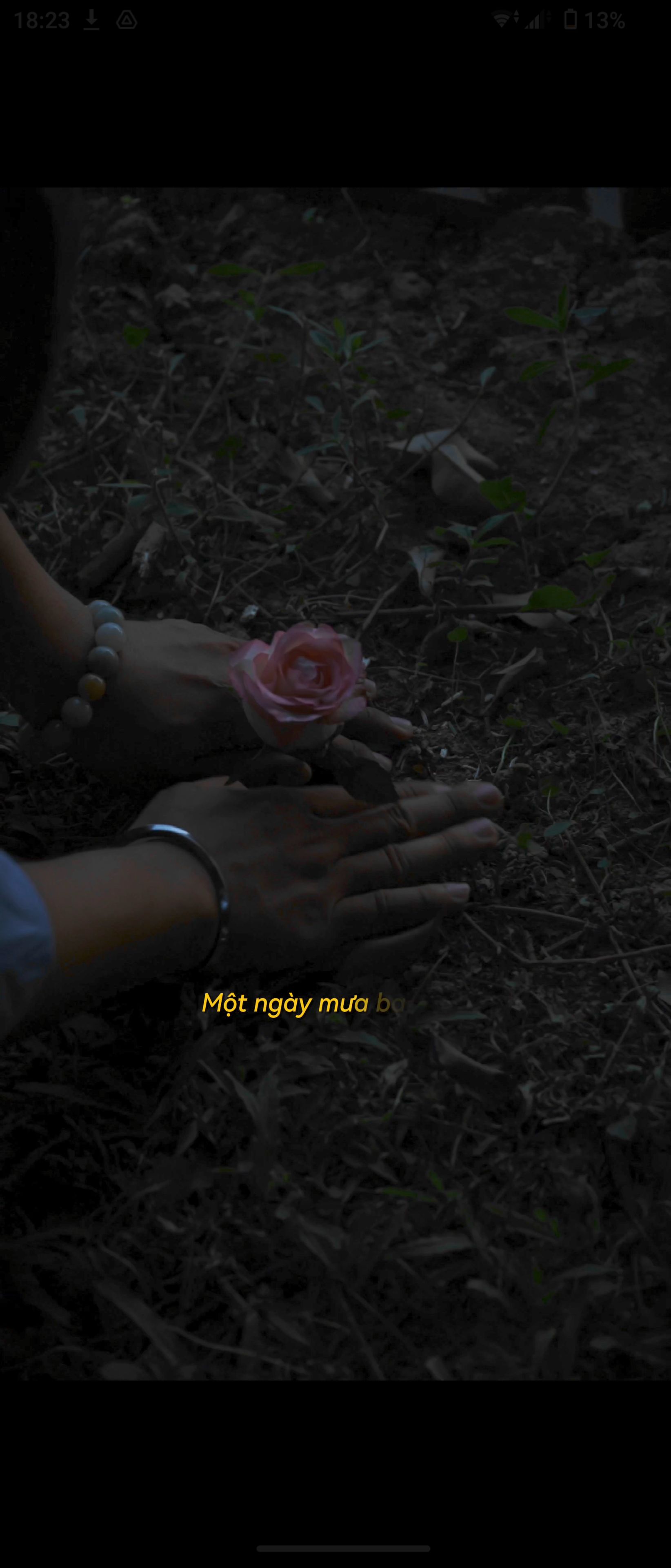 Ngày mưa