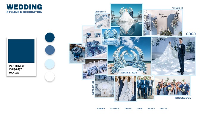 Bài tập lên Moodboard