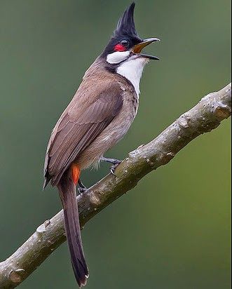 Bài tập về nhà buổi 6