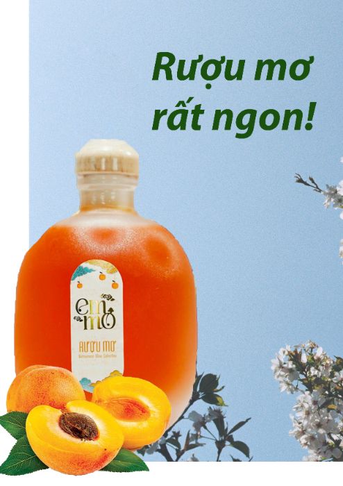 rượu mơ