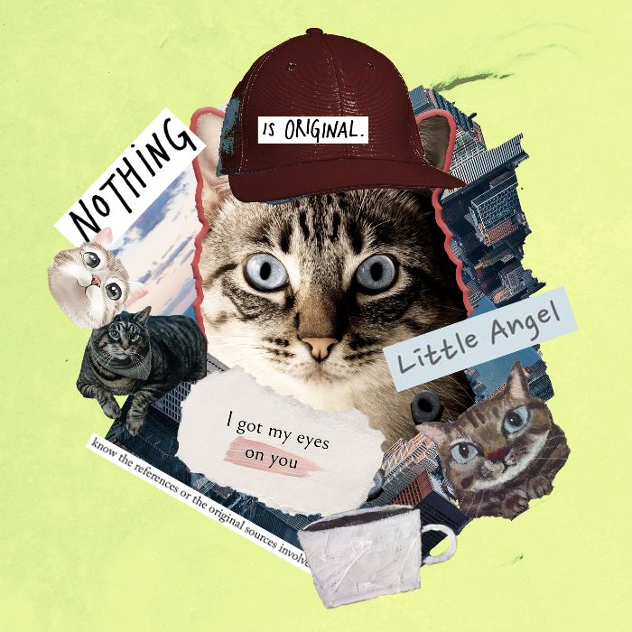 cat collage