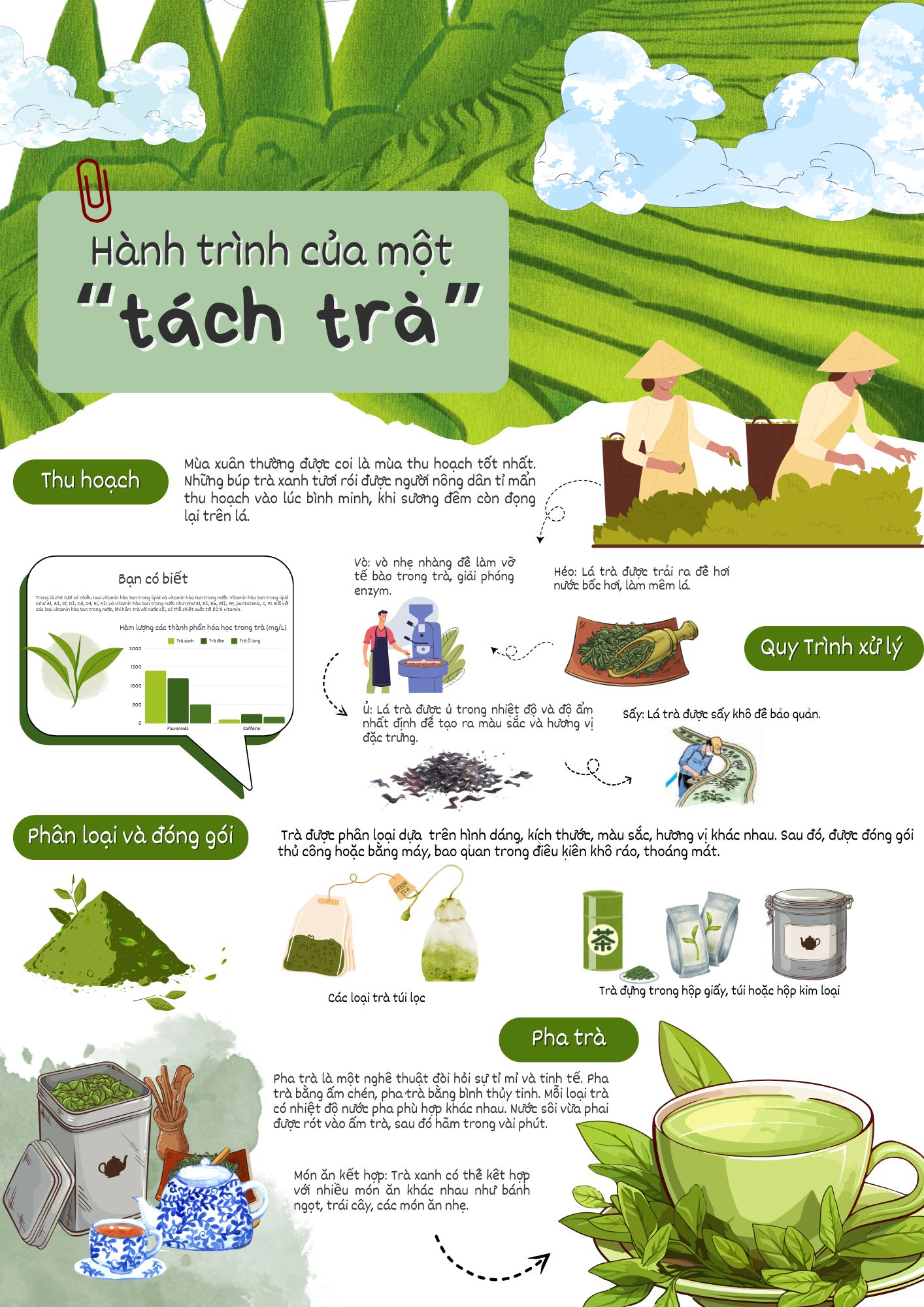 Hnahf trình của 1 tách trà