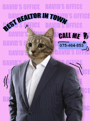 btvn 2