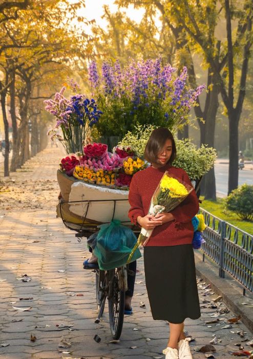 Cắt ghép tự do