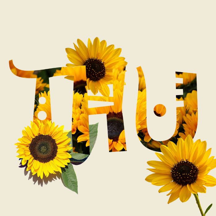 HW