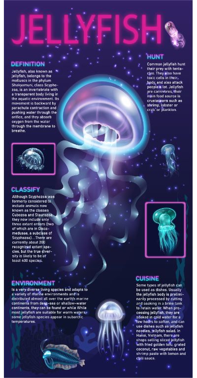 infographic