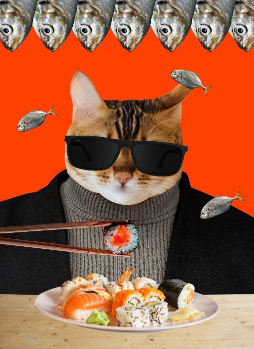 BRING MEOW SUSHI