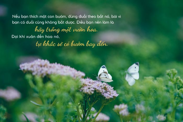 Nguyễn Thùy Linh_ BTVN buổi 2