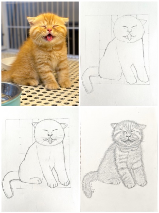 Homework_Sketch cat