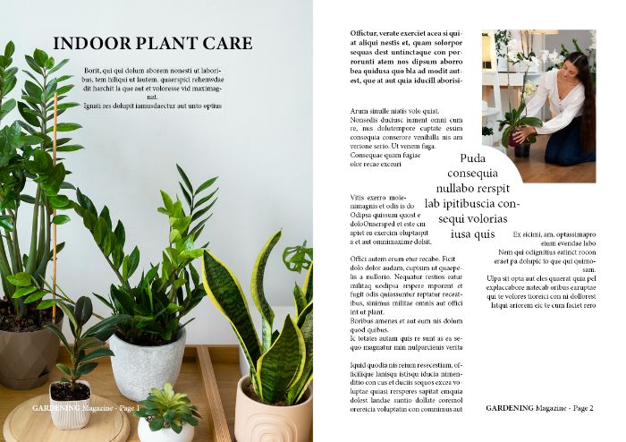 InDesign 01