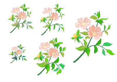 Bài tập thay đổi dáng cây