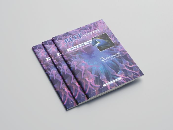 Reef Hobbyist magazine