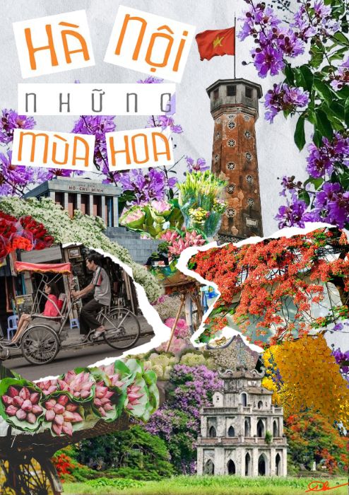 HANOI FLOWER SEASONS