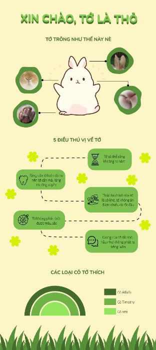 Infographic