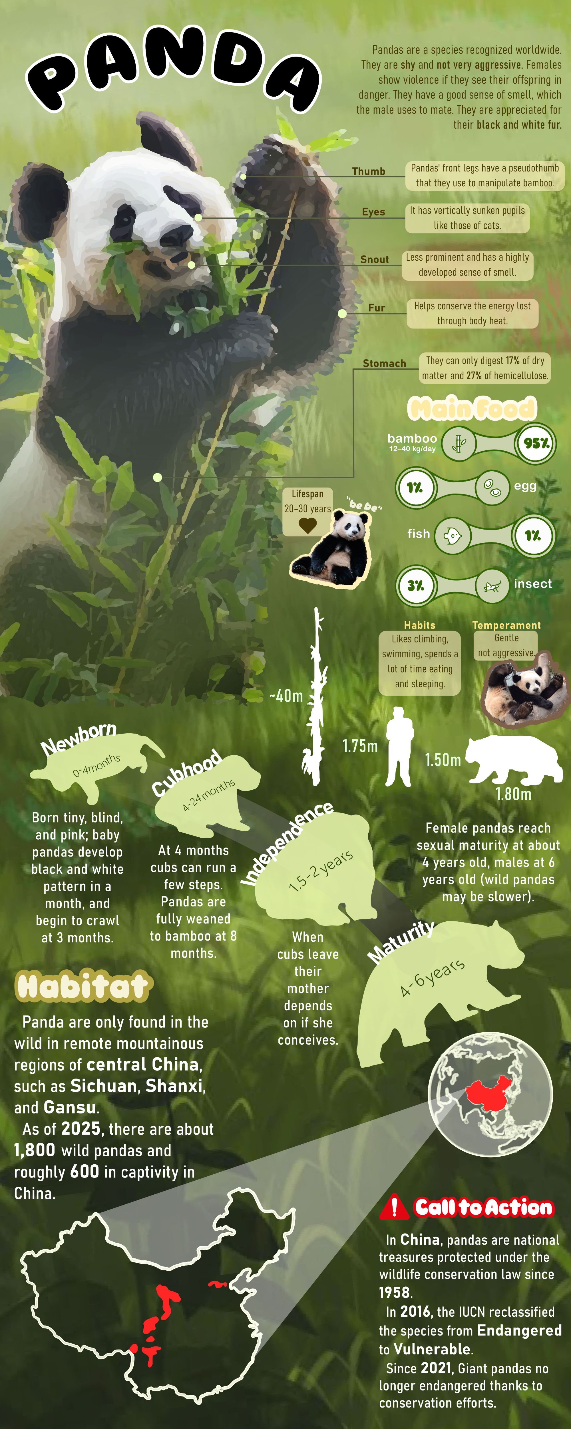 Infographic "Fact of PANDA"