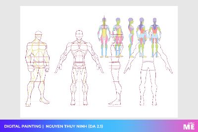 Anatomy